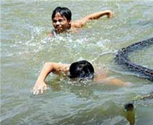 巨蟒报恩的真实事件,海南巨蟒为报主人救命之恩