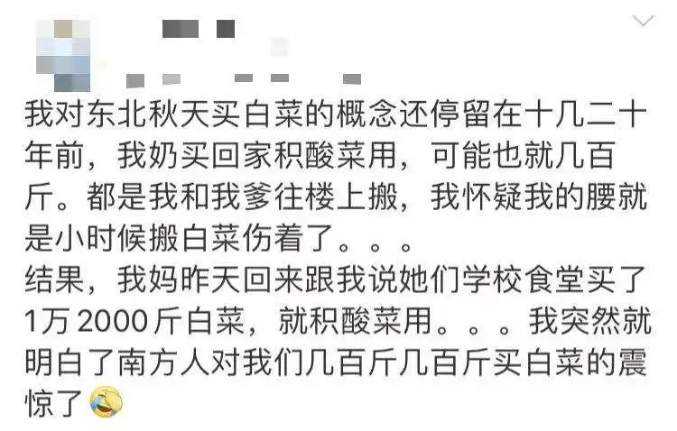 东北人冬天买白菜,盘点东北人买白菜