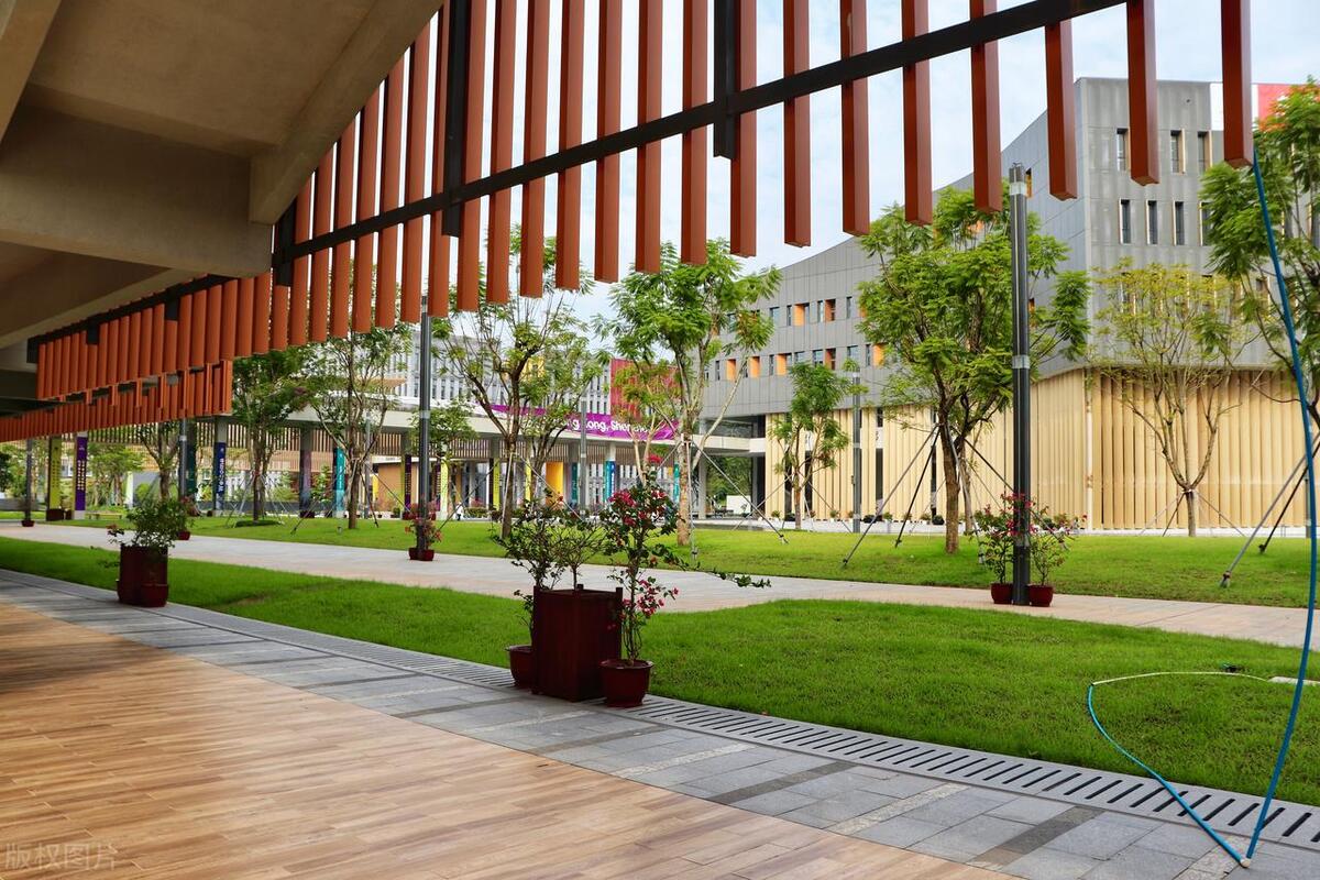 中外合作办学专业的真相,中外合作办学计划内的利与弊