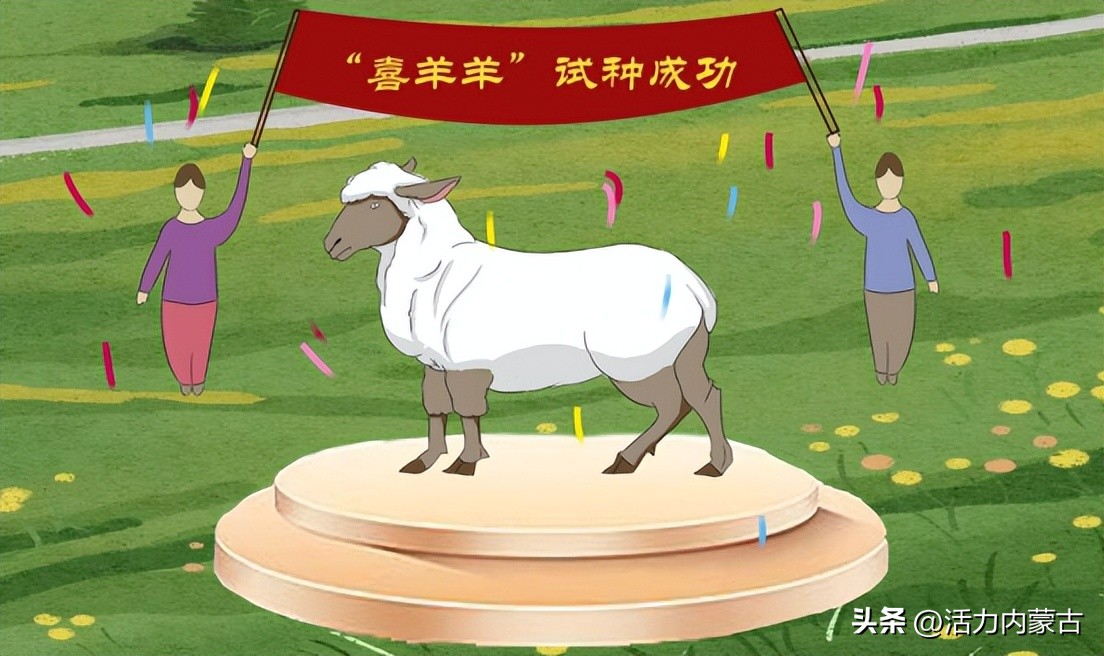 这场“羊”运会，内蒙古申请出战！