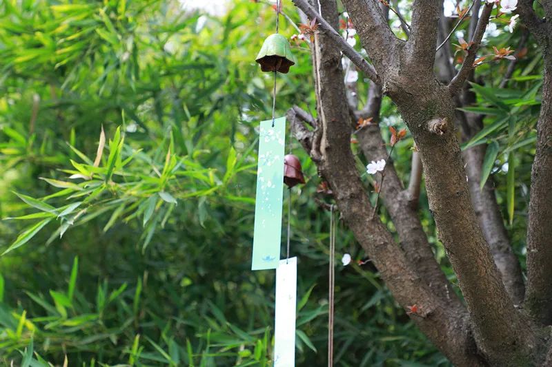 开席了！原来新津的梨花，还能这样吃！