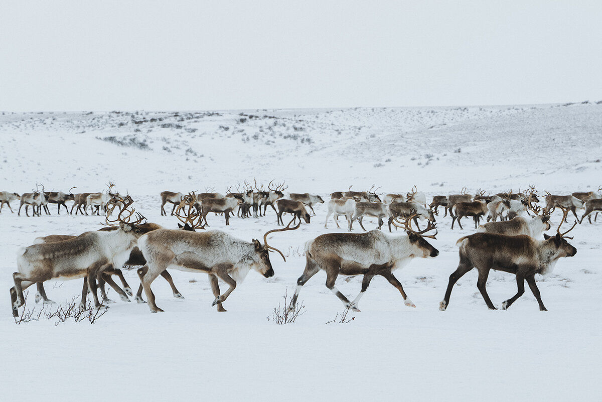 俄罗斯人的日常生活图片,俄罗斯实拍生活