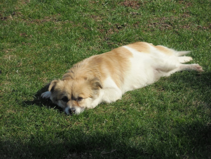 苏州太湖东山雨花胜境,苏州东山雨花胜境地图