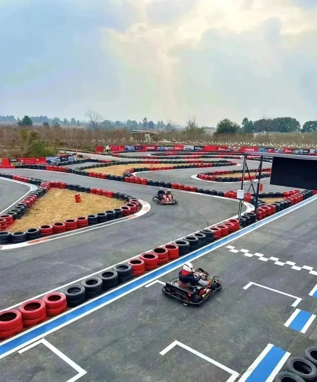 空港花田最好的地方,空港花田美景照最新