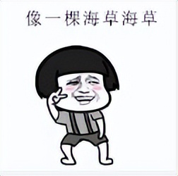 2019年的微信红包记录在哪里,微信的每笔红包能否查出来