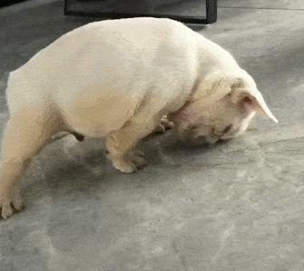 治赖床,早晨赖床的方法