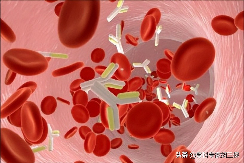 如何增加红细胞比积,如何增加红细胞