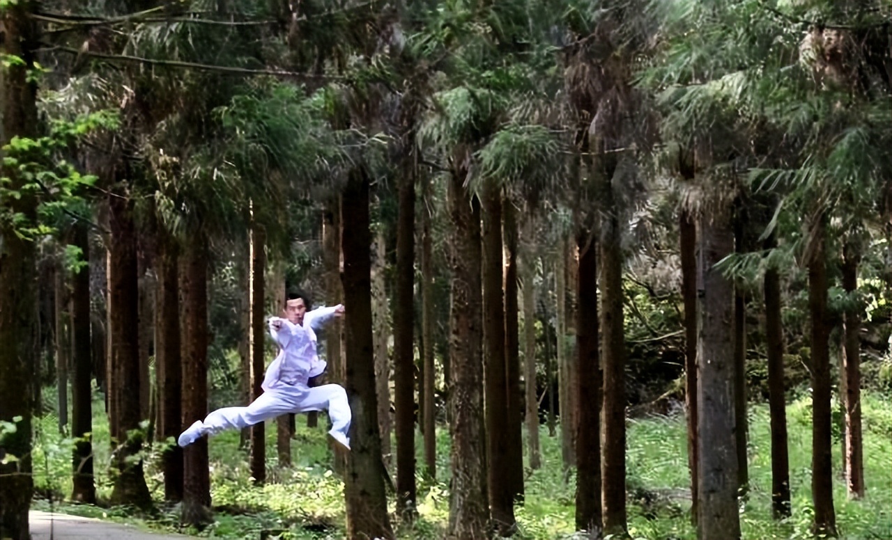 森林中空气负离子浓度有什么作用,原始森林空气中负氧离子指数