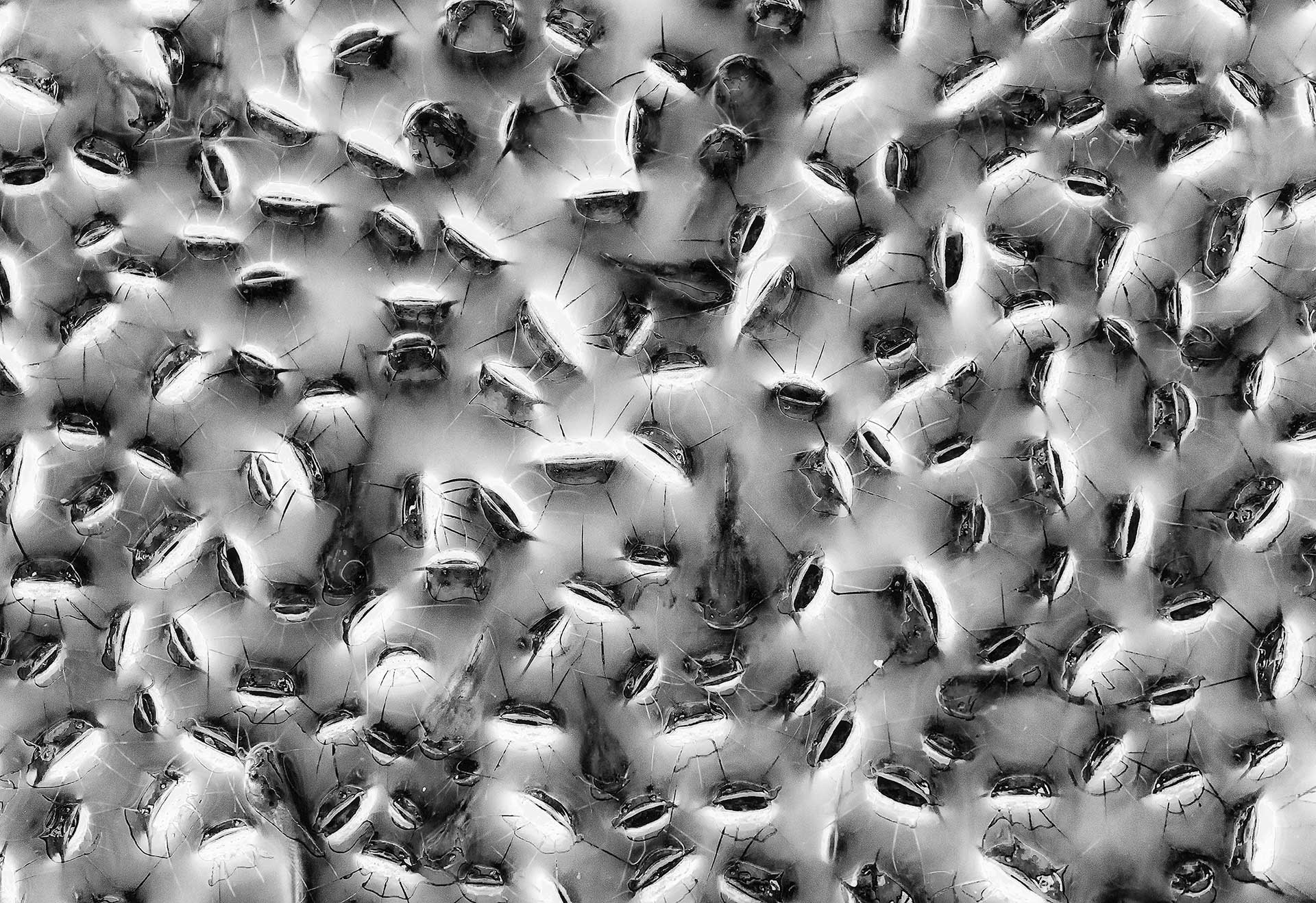 自然就是美,自然就是美歌曲