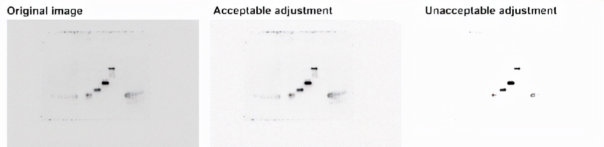 生物医学信息与图像处理,生物医学图像