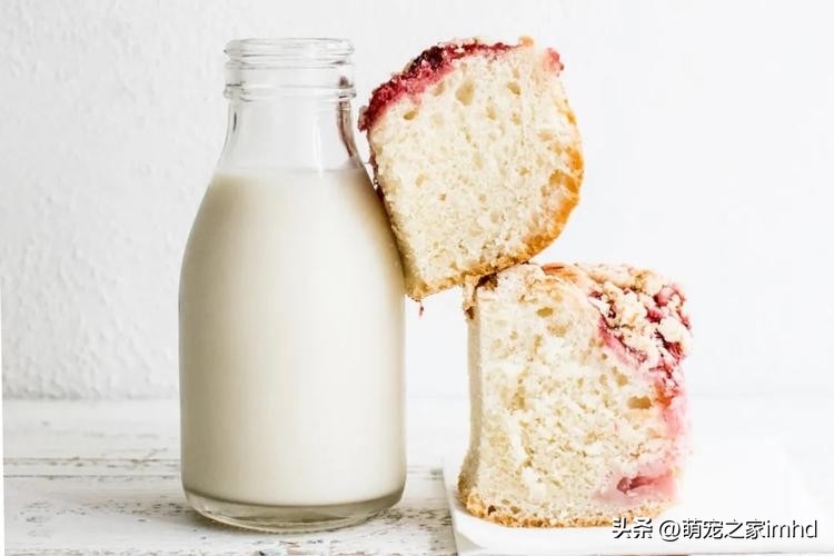 喂养比熊犬需要注意什么,喂养比熊吃东西怎么样避免咬到手