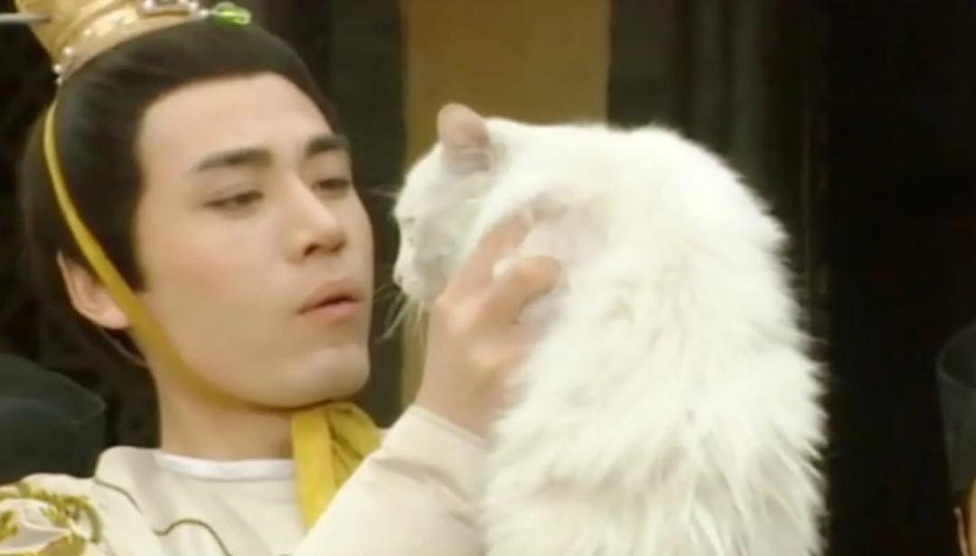 山河月明八位老戏骨同台飙戏演技,山河月明开播还得靠老戏骨撑门面