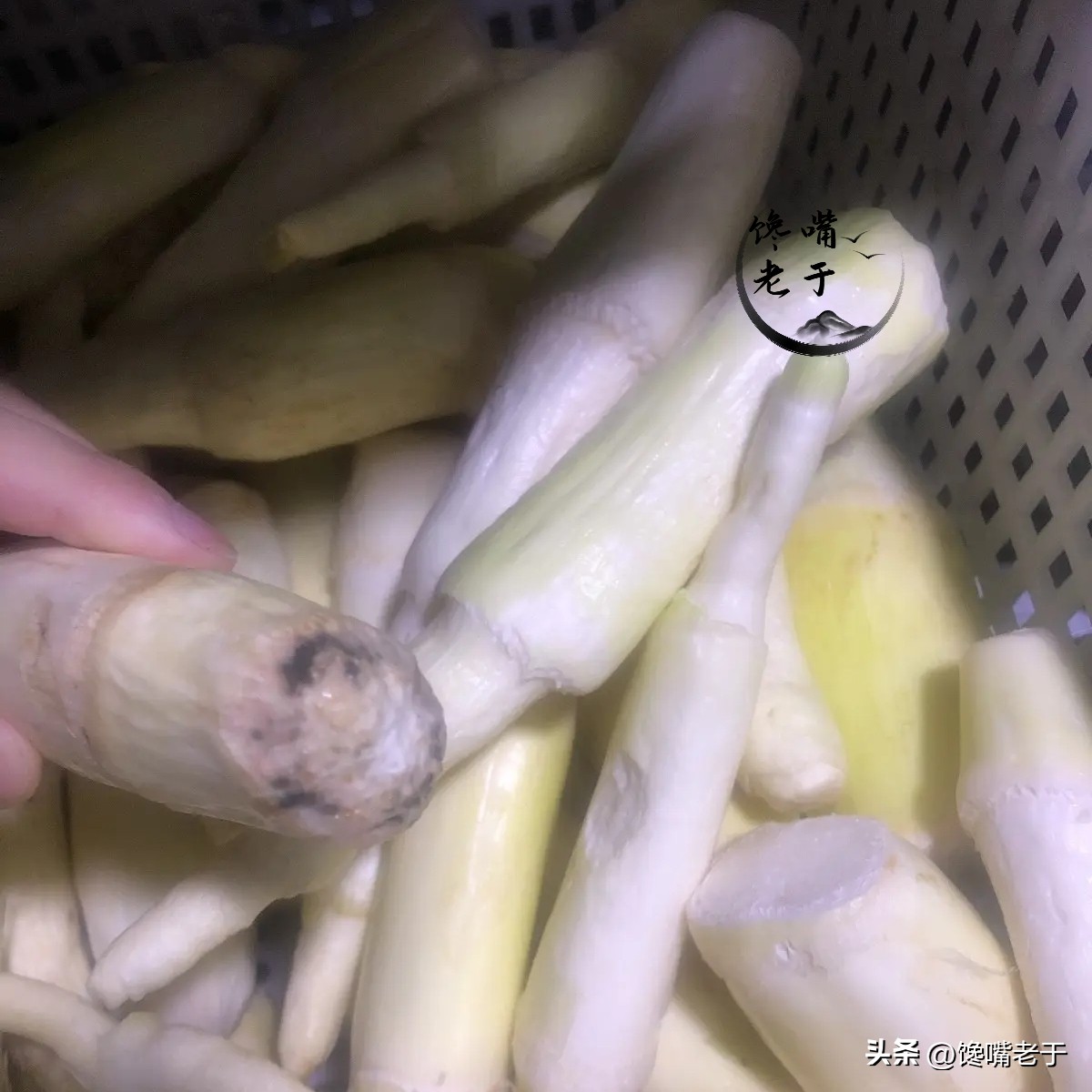 买茭白时，“圆的和扁的”哪个好？牢记3买3不买，谁也别想忽悠你