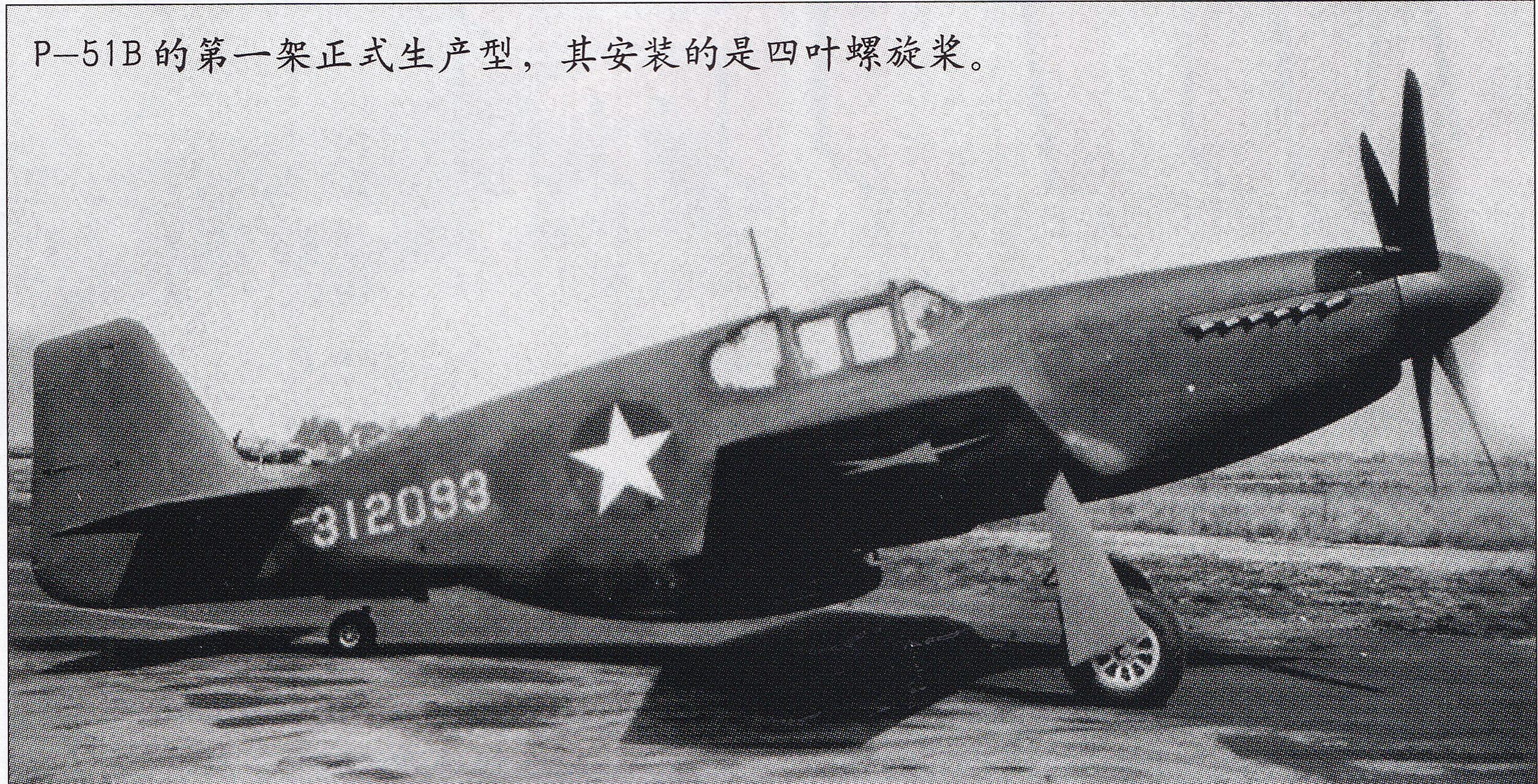 野马p26战斗机,野马家庭版