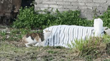 “好开心啊，我终于被人绑架了”