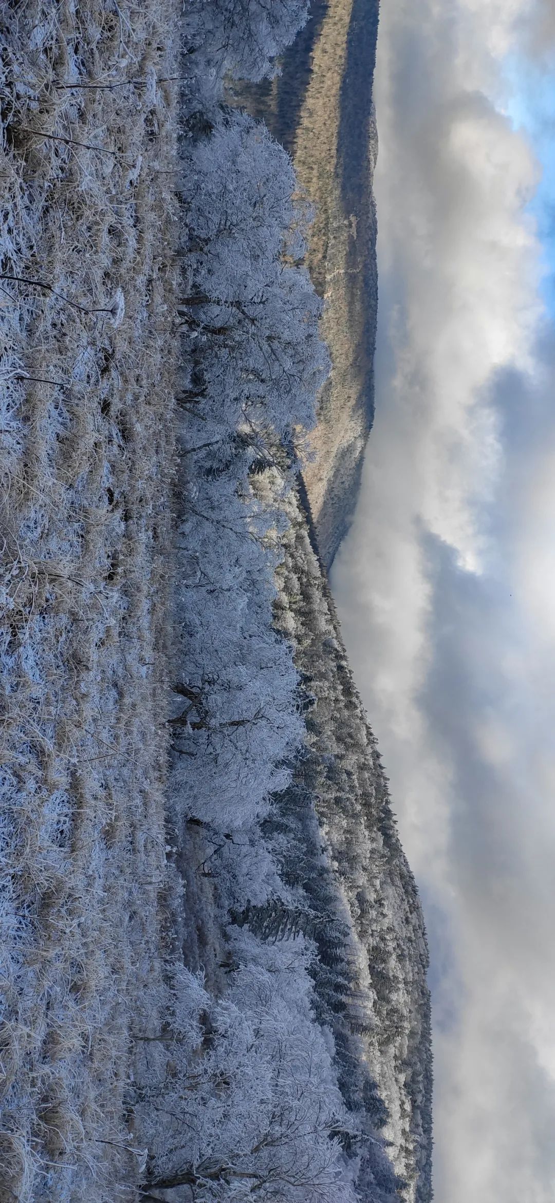 梦幻西游凤凰山,江西凤凰山梦幻影视城