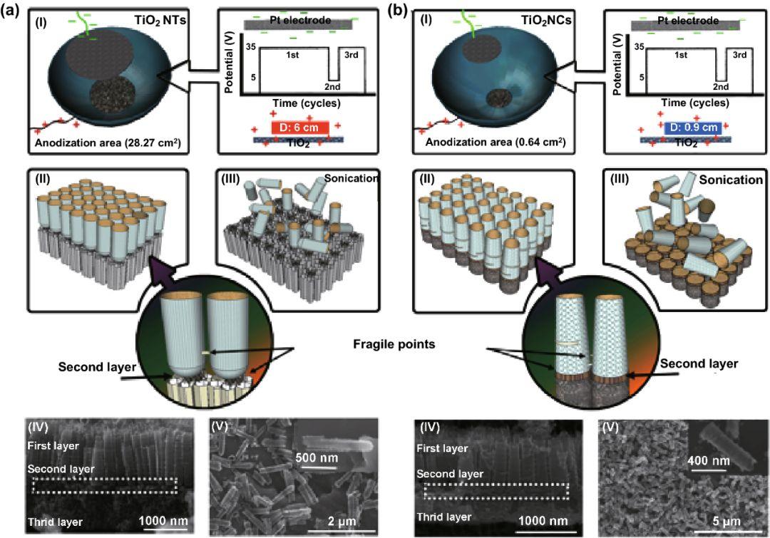 通过Fe3O4纳米复合材料，对水介质中去除Cu和Cd离子进行表征