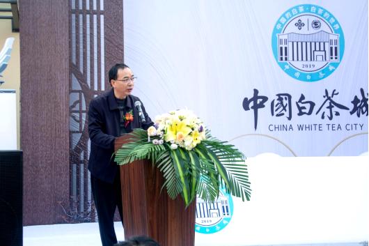 中国白茶城天津服务中心,安吉中国白茶城