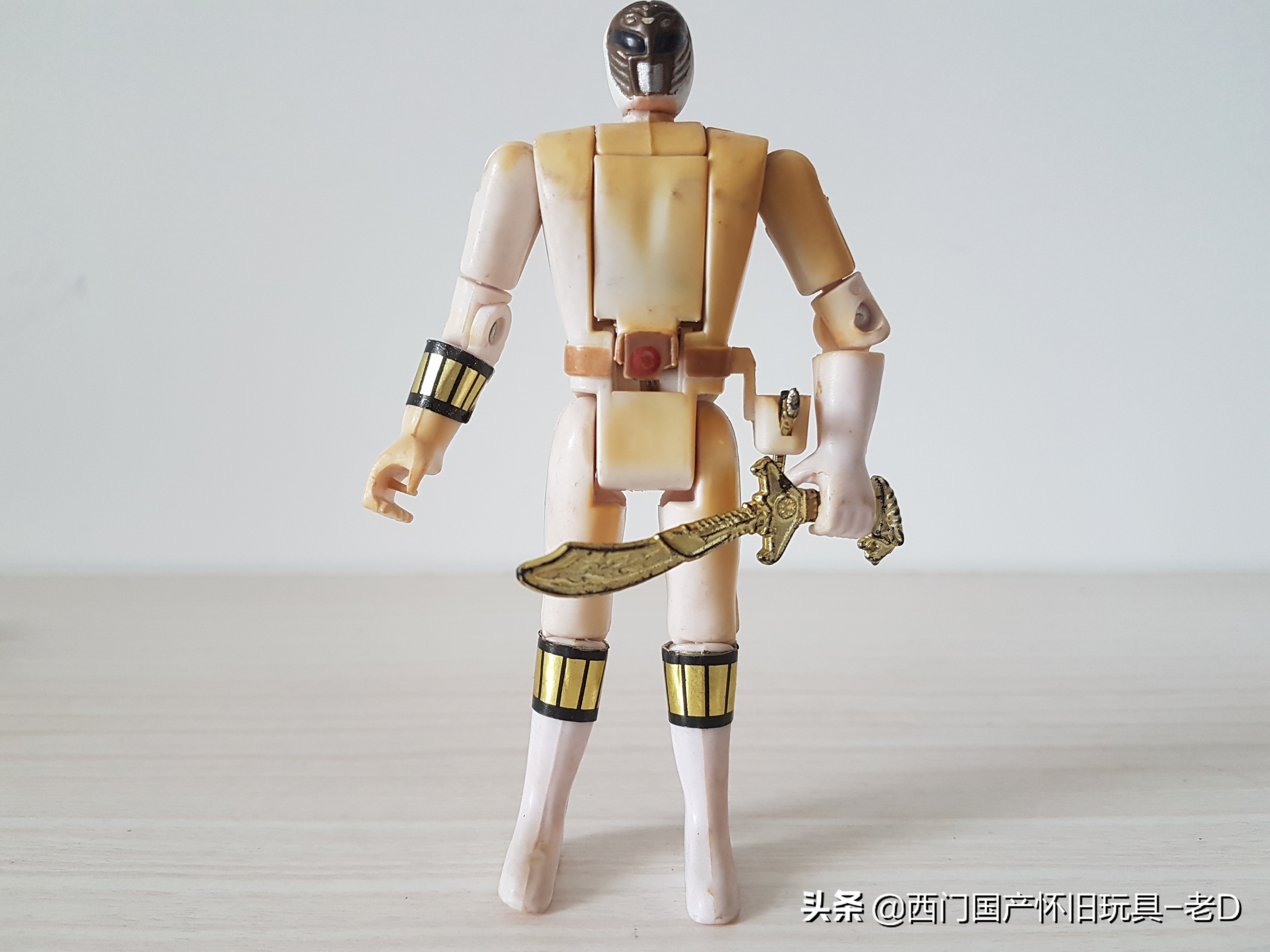 恐龙战队39,恐龙战队19