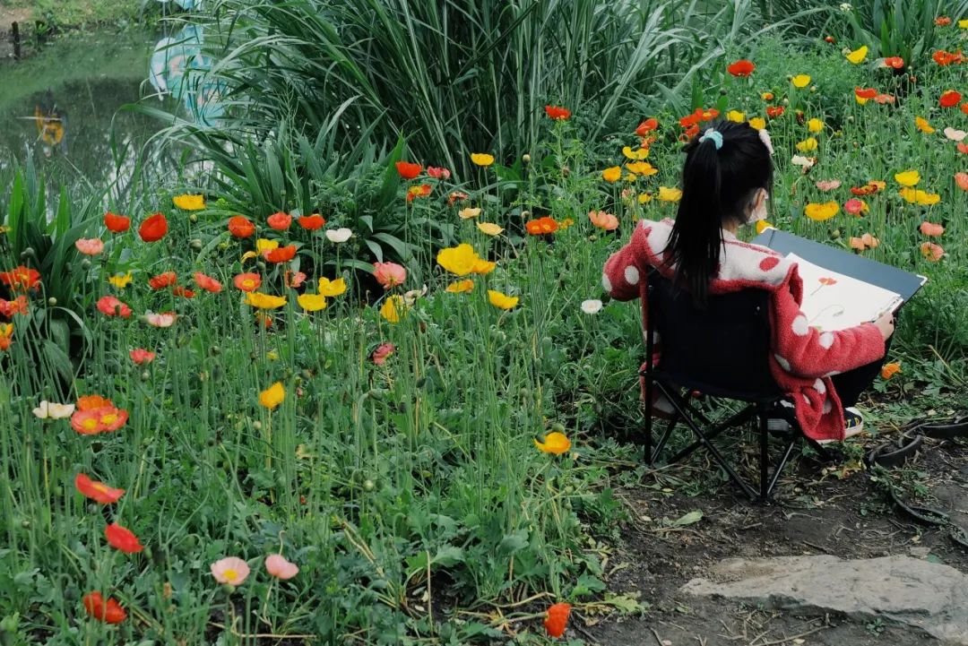 春天的潺潺溪水,春天的顶流