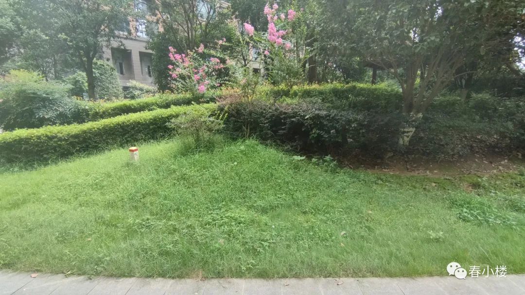 辉煌国际城三期七栋,辉煌国际城三期测评