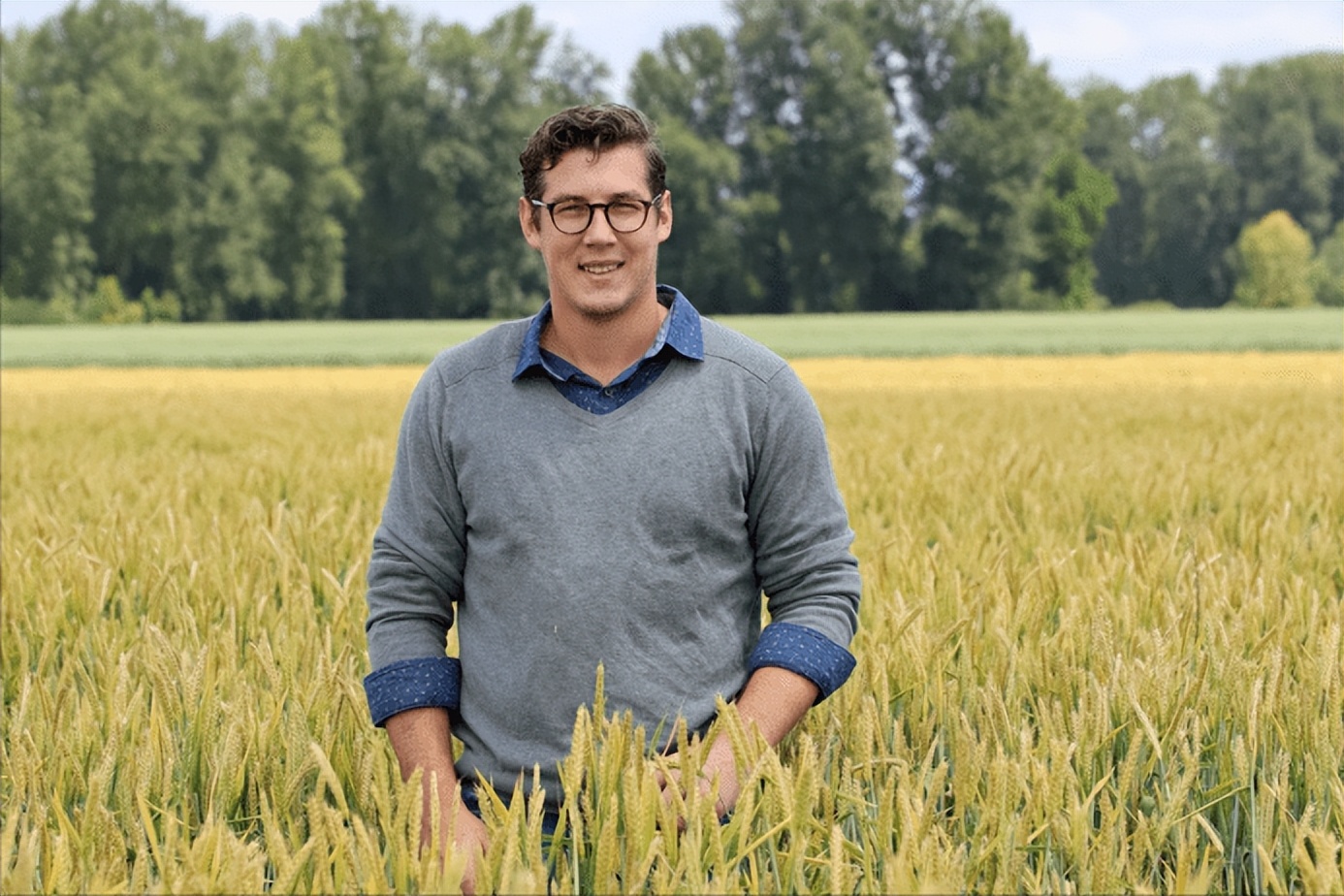 大麦的栽培与管理,大麦栽培技术有哪些