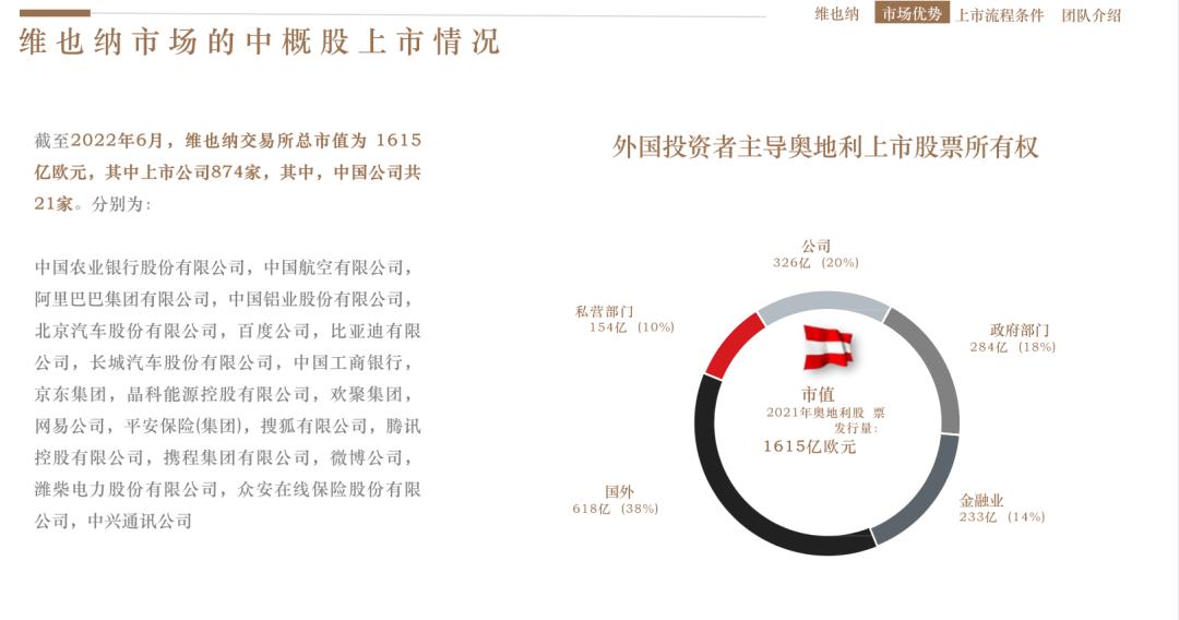 最全的维也纳上市公式，新手必备！