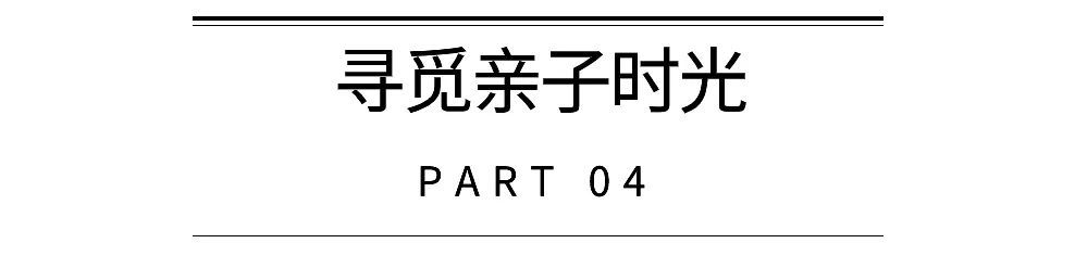 voco南京酒店,南京voco酒店园博园