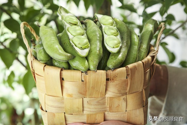 蚕豆保存焯水好还是直接冷冻,蚕豆怎样保存放冰箱吃一年