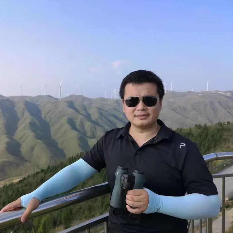 适马150-600dgdn镜头评测,适马150-600dg和s版