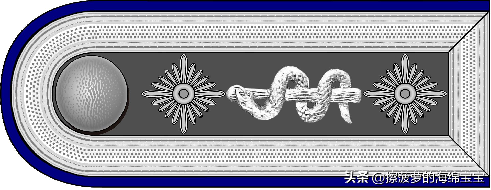 二战德国国防军医疗兵军衔标志