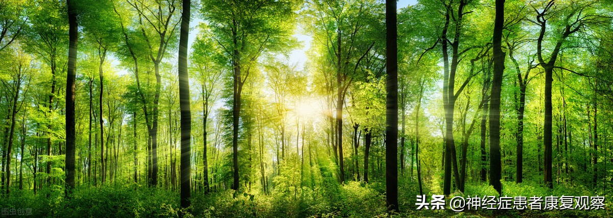 焦虑症患者康复自述,焦虑症患者的自我疗法