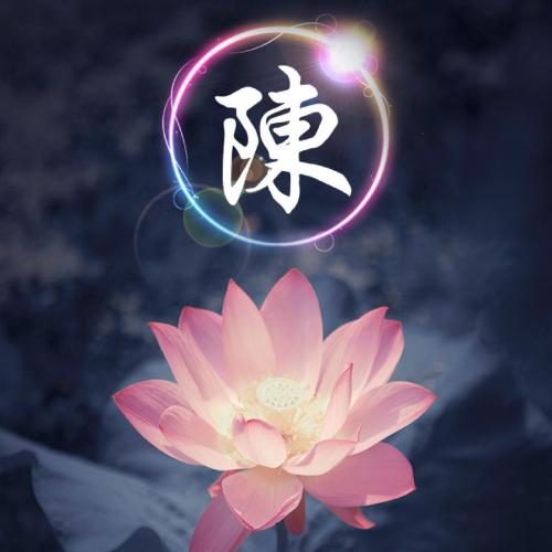 姓氏荷花头像图片大全,荷花姓氏头像图片大全