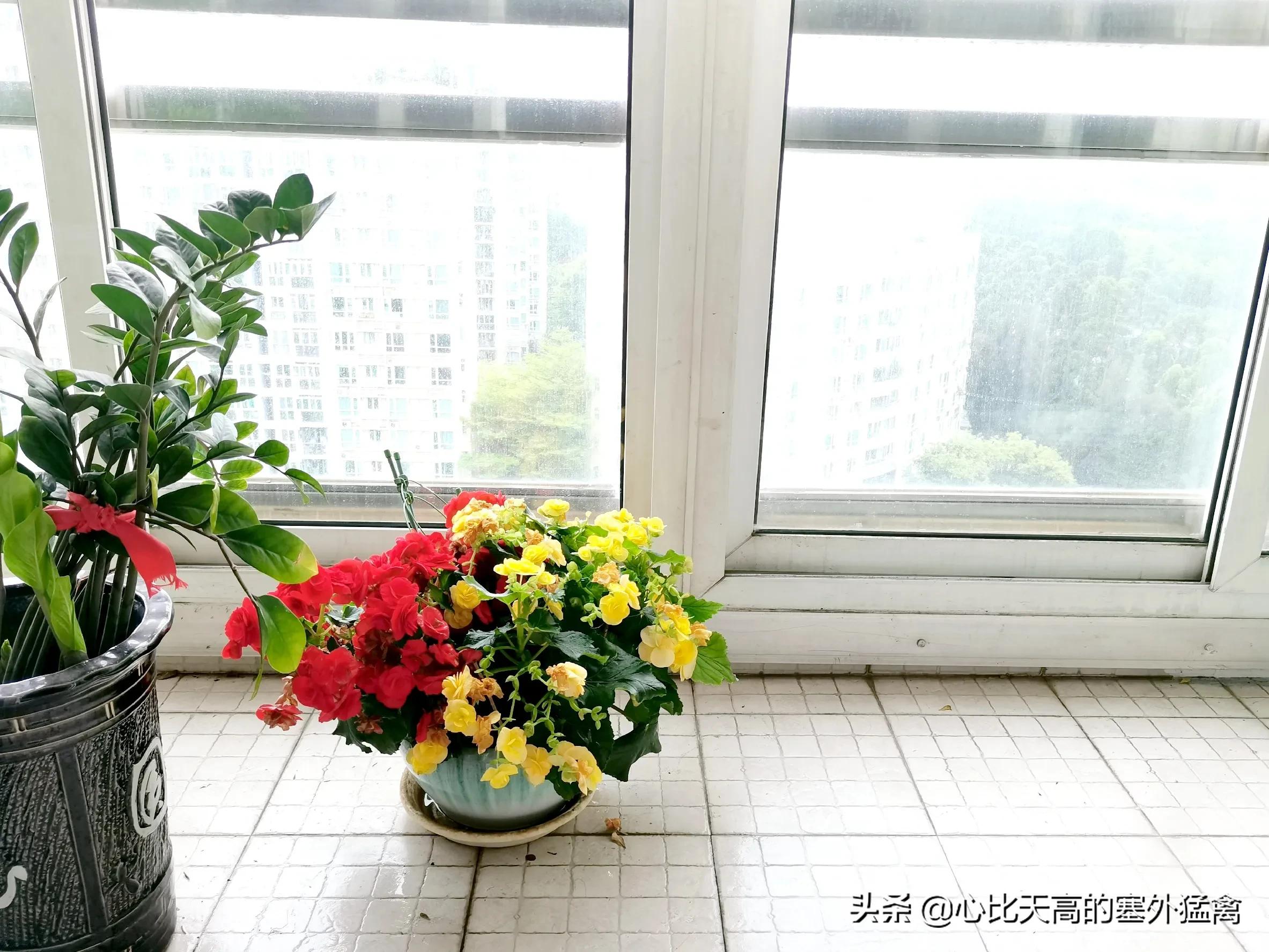 “回南天”驾到深圳，墙壁地面都流汗了，肿么办