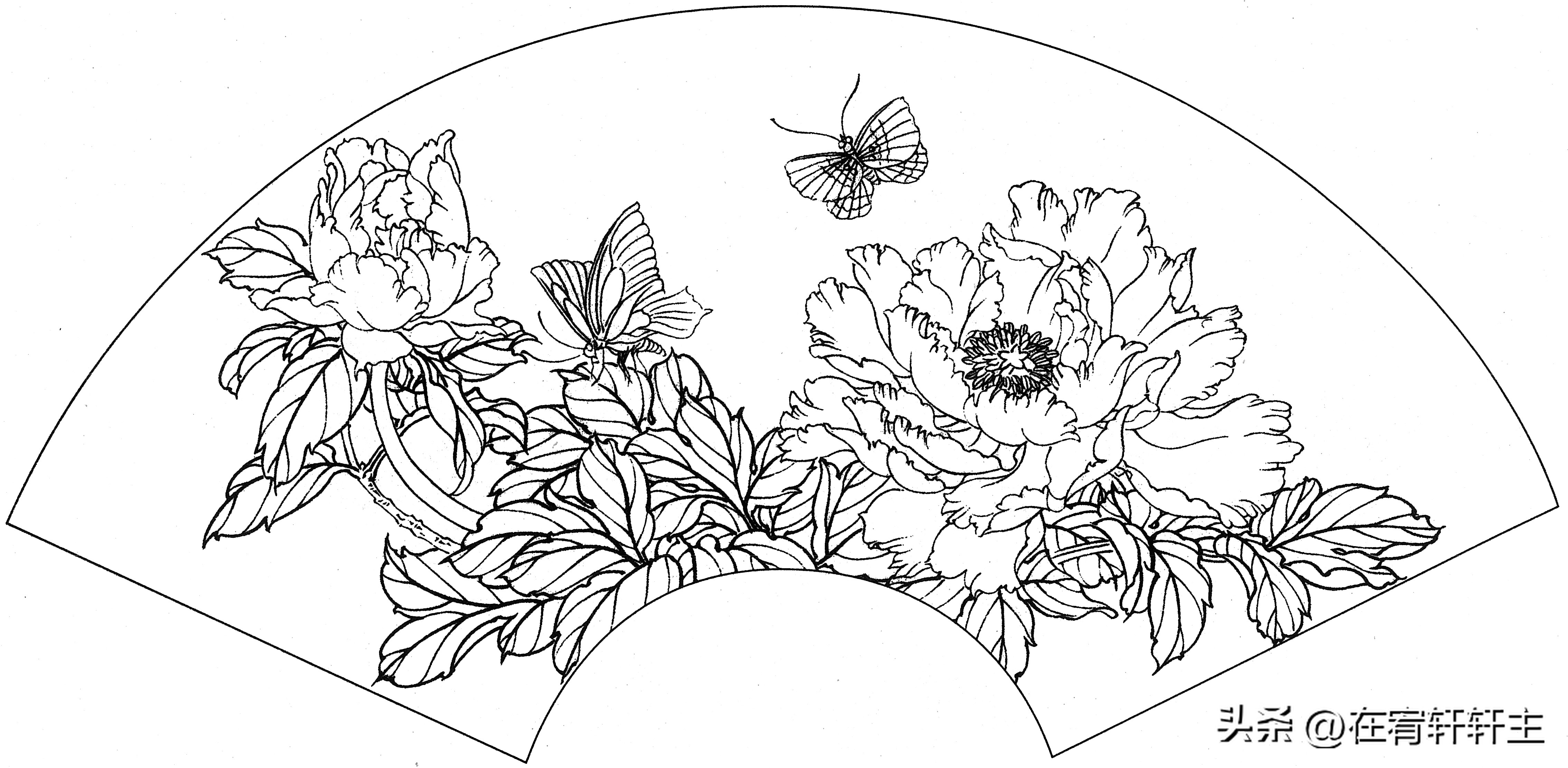 工笔白描祥云图案扇面,工笔扇面葡萄白描图片