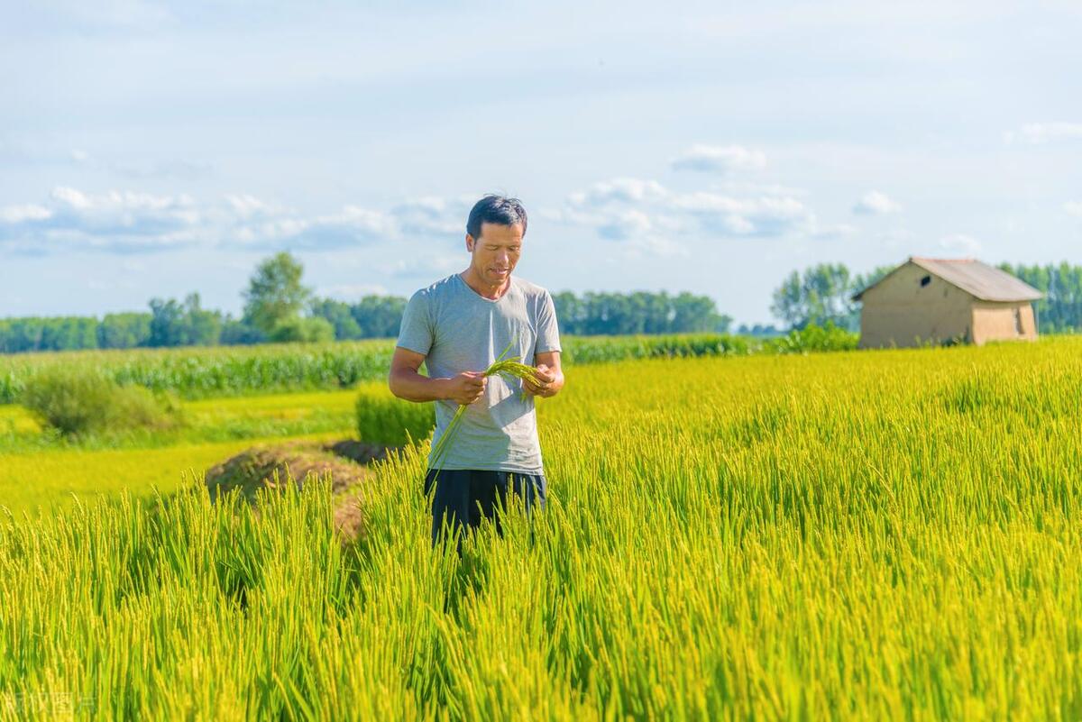 2023养老金调整通知发布了吗,养老金上调最新消息天津市