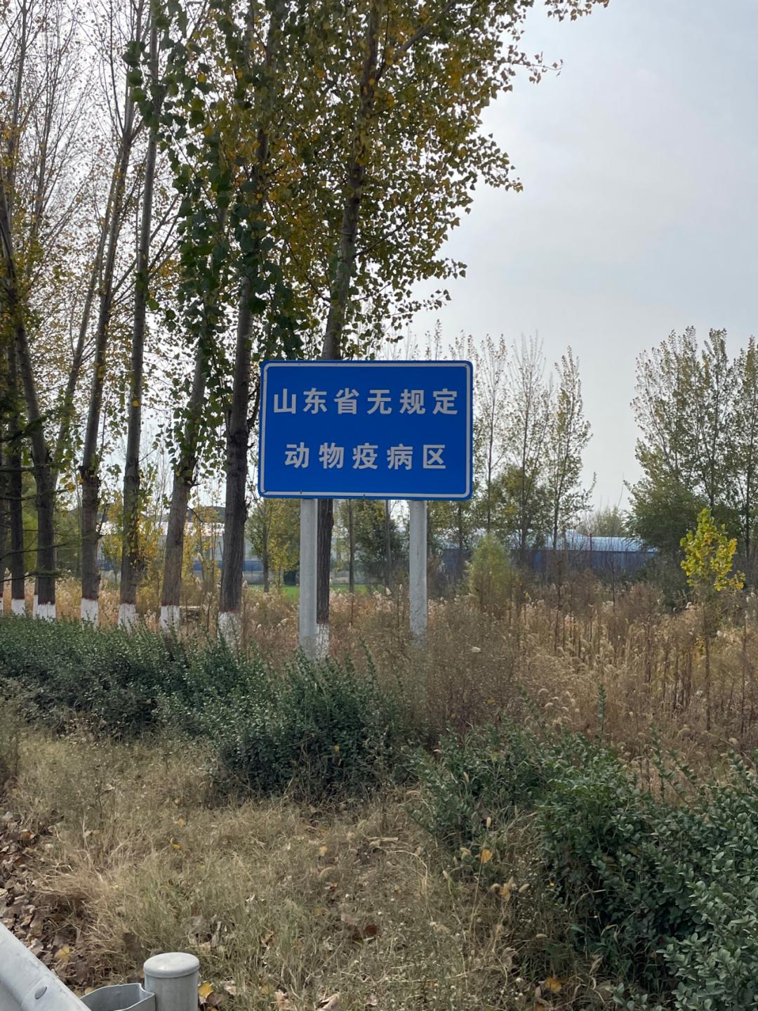 董董骑行山东,懂懂骑山东