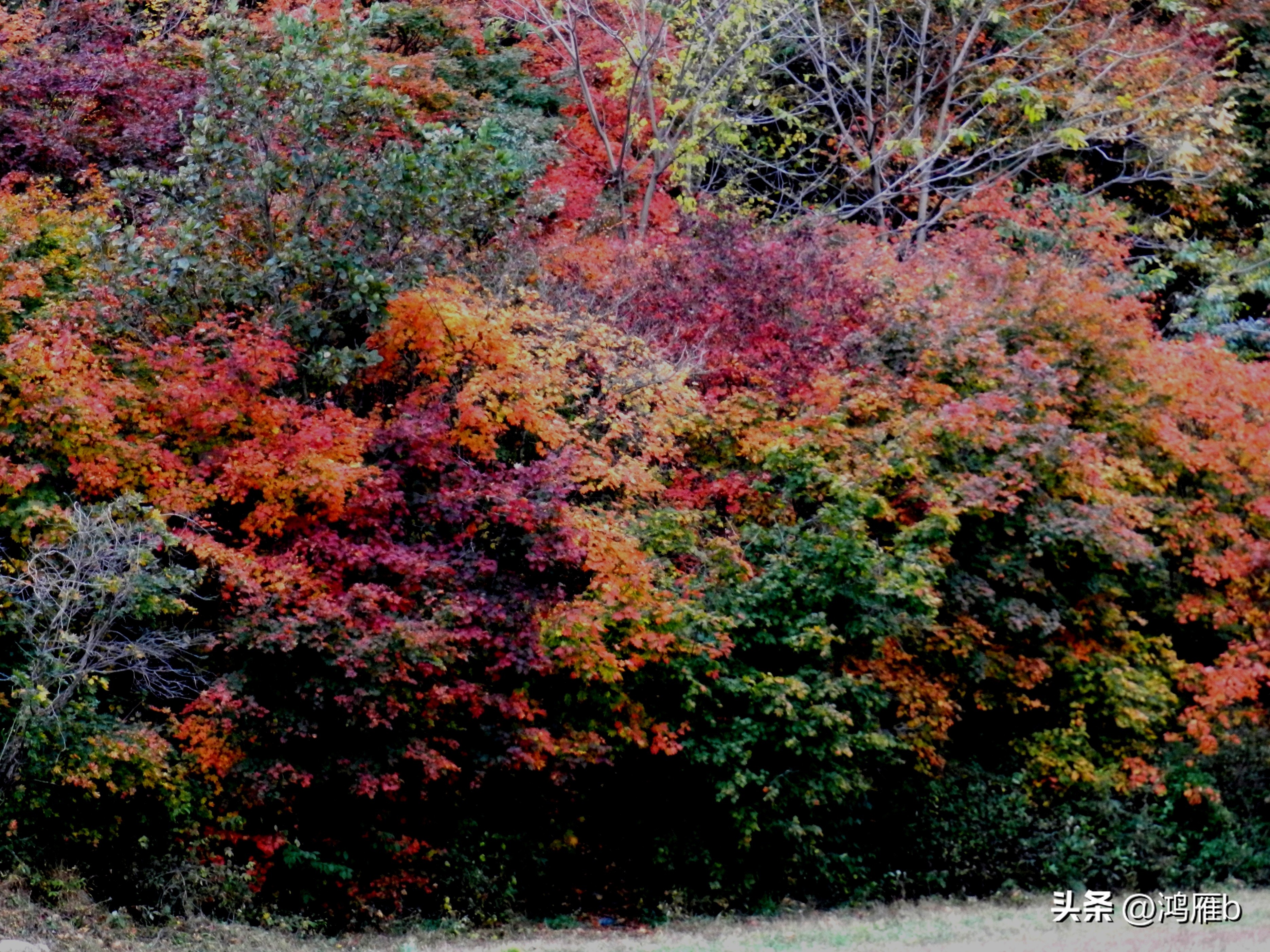 本溪温泉汤沟门票价格,本溪花溪沐枫雪温泉小镇