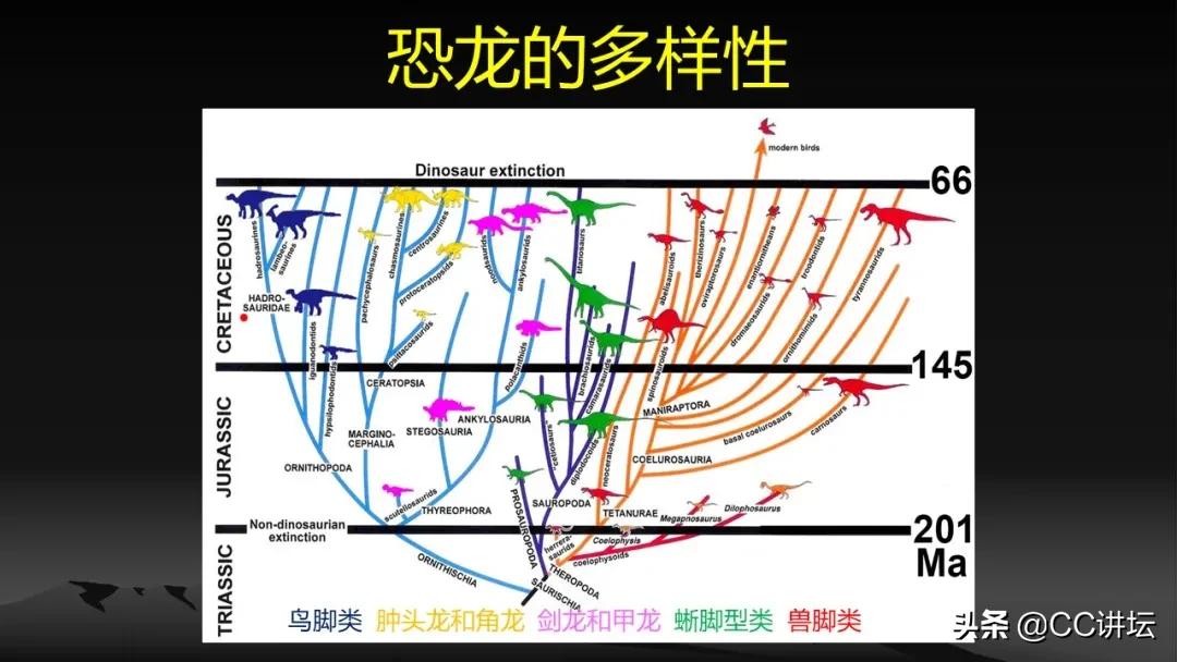 海洋恐龙和陆地恐龙,海洋恐龙与陆地生物对比
