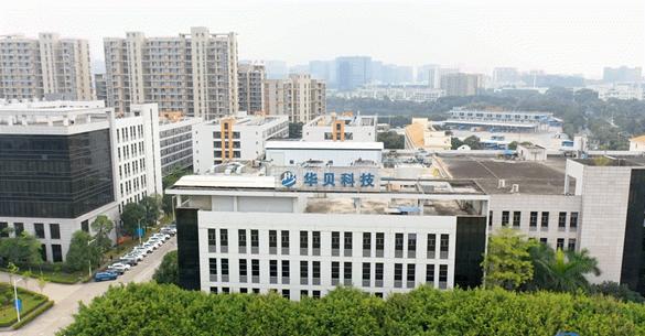 智通人才2020,智通人才服务