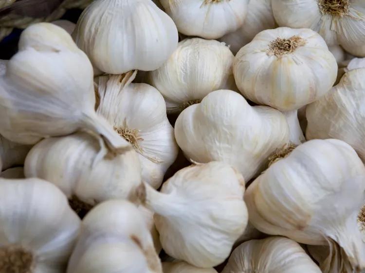 中国国家地理标志怎么申请,中国国家地理标志标识