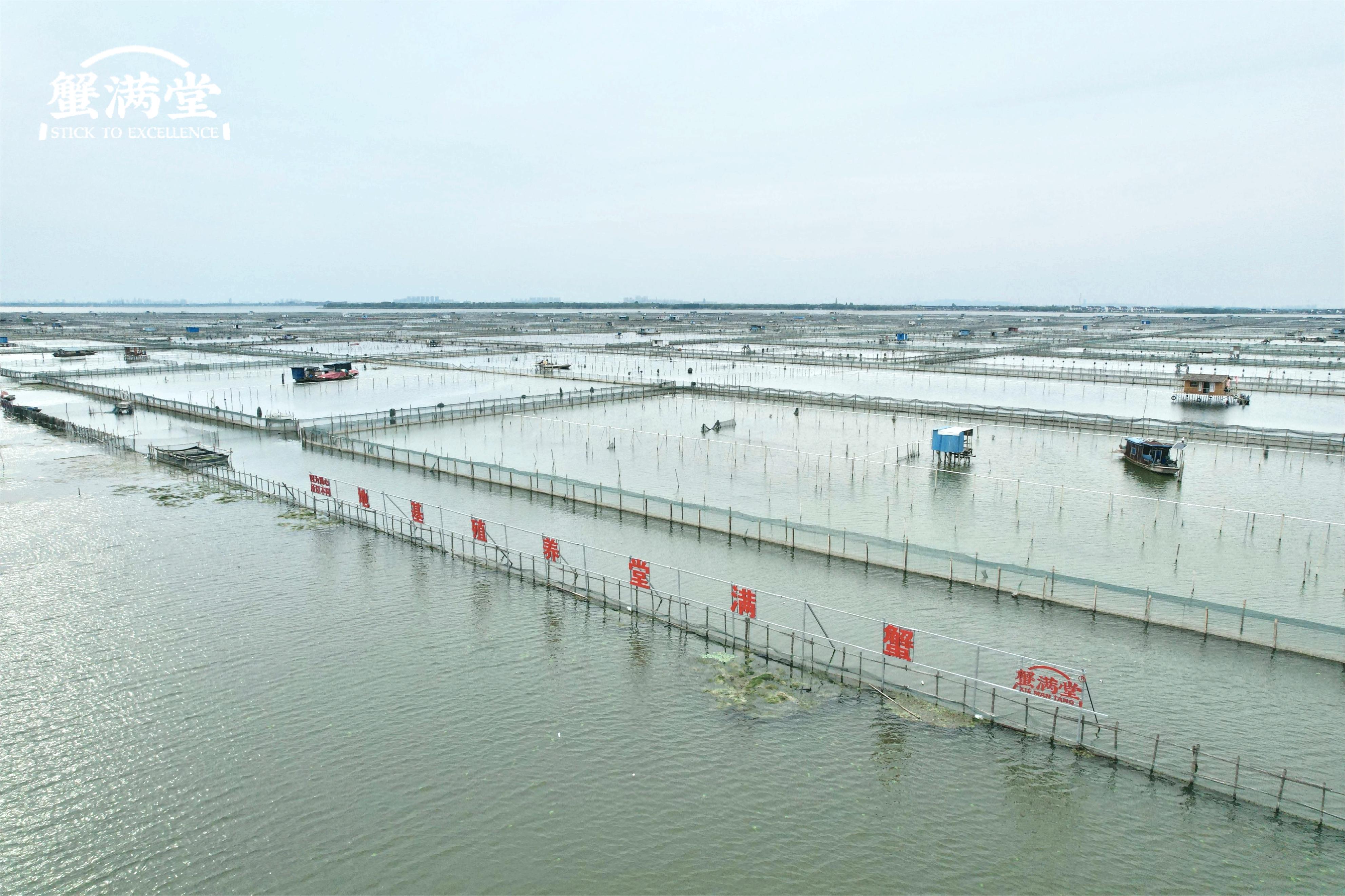 追根究底与寻根溯源,追根溯源探历史