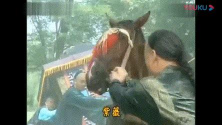 救命啊，这是在*辱侮**谁的智商？