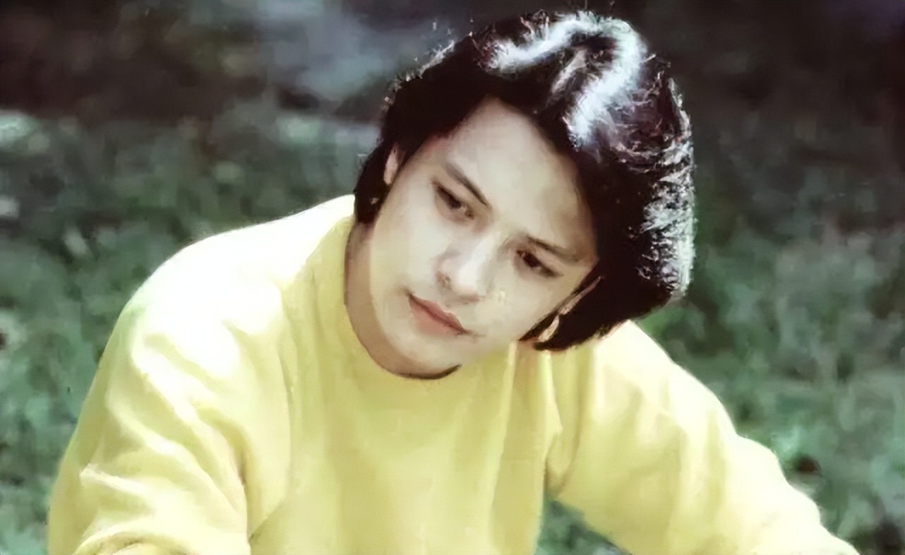 爆红或突然消失的男明星,爆红男爱豆退团现状