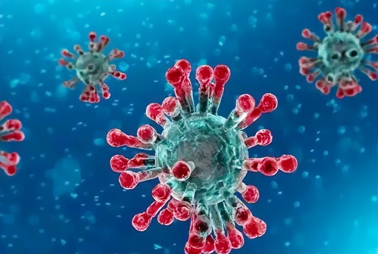 澳大利亚野兔泛滥成灾的原因,澳大利亚的野兔成灾结局