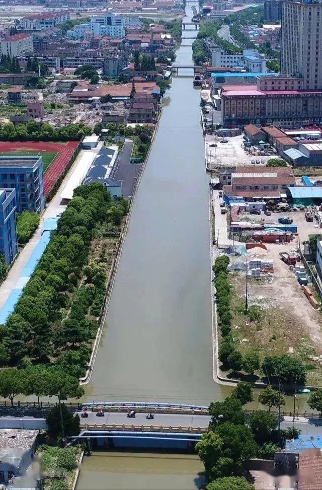 上海浦东稻田,浦东新区稻田风光美如画