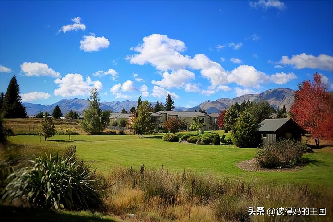 谁发现了新冠有传染力,谁发现了新一的身份