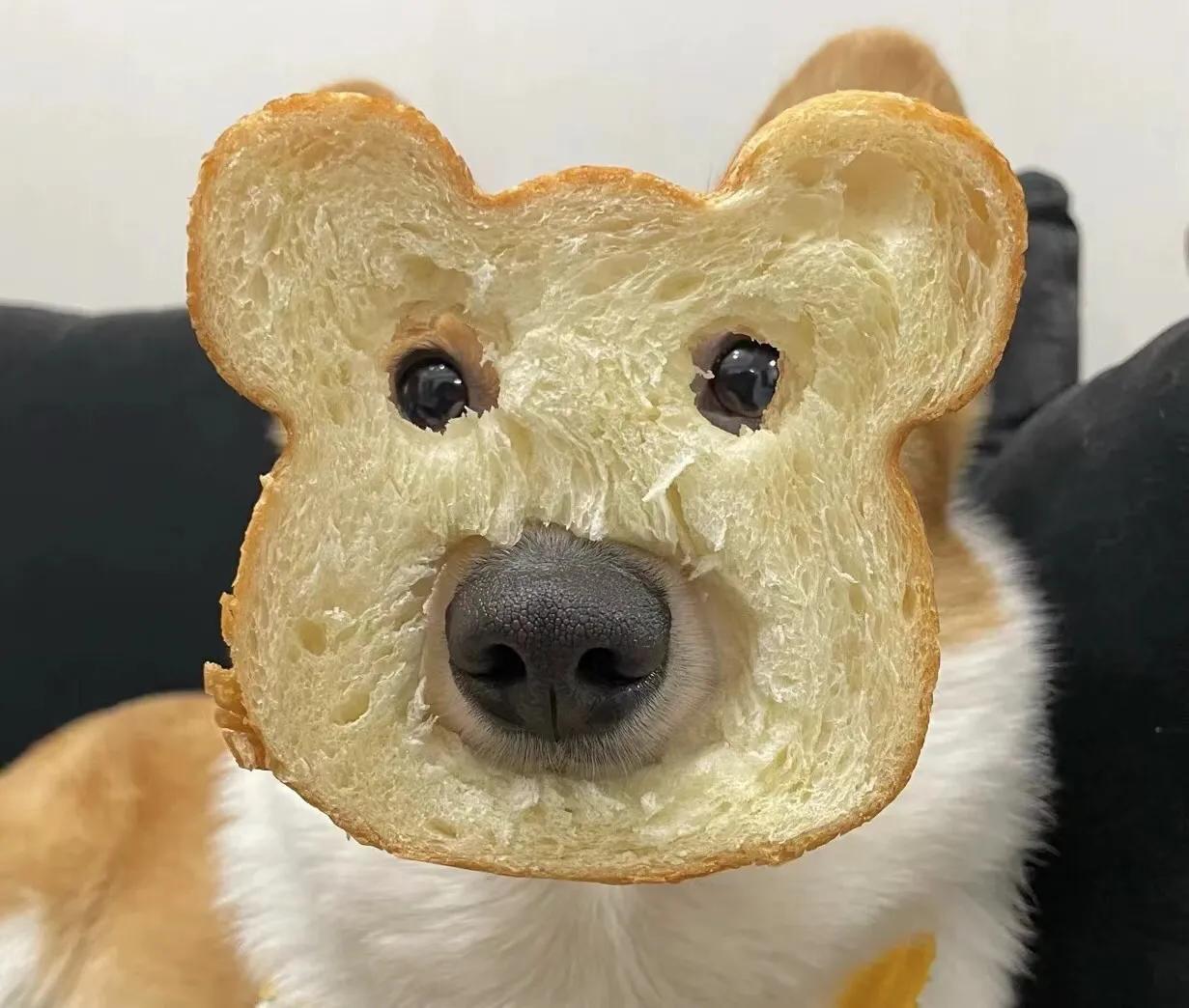 《论语》的味道（九五）