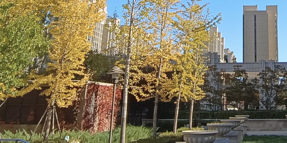 redminote114g拍照效果,redminote11拍照效果好吗