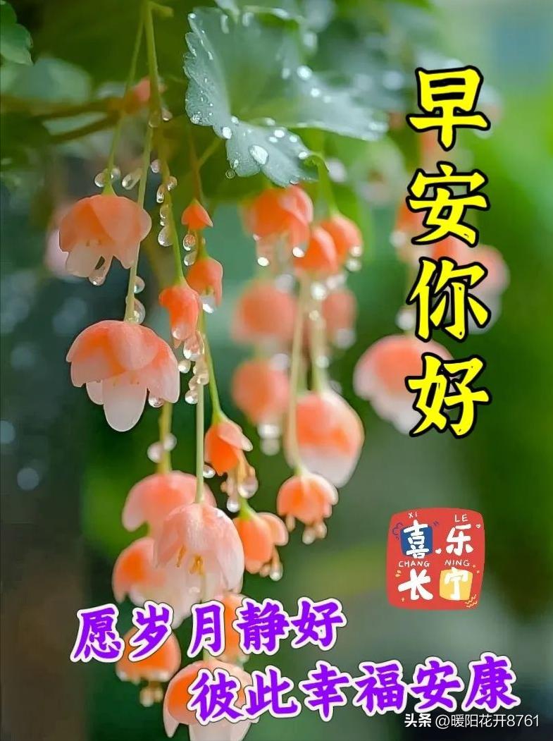 周一早安问候最新图片图文,周一早安问候语正能量简短图片